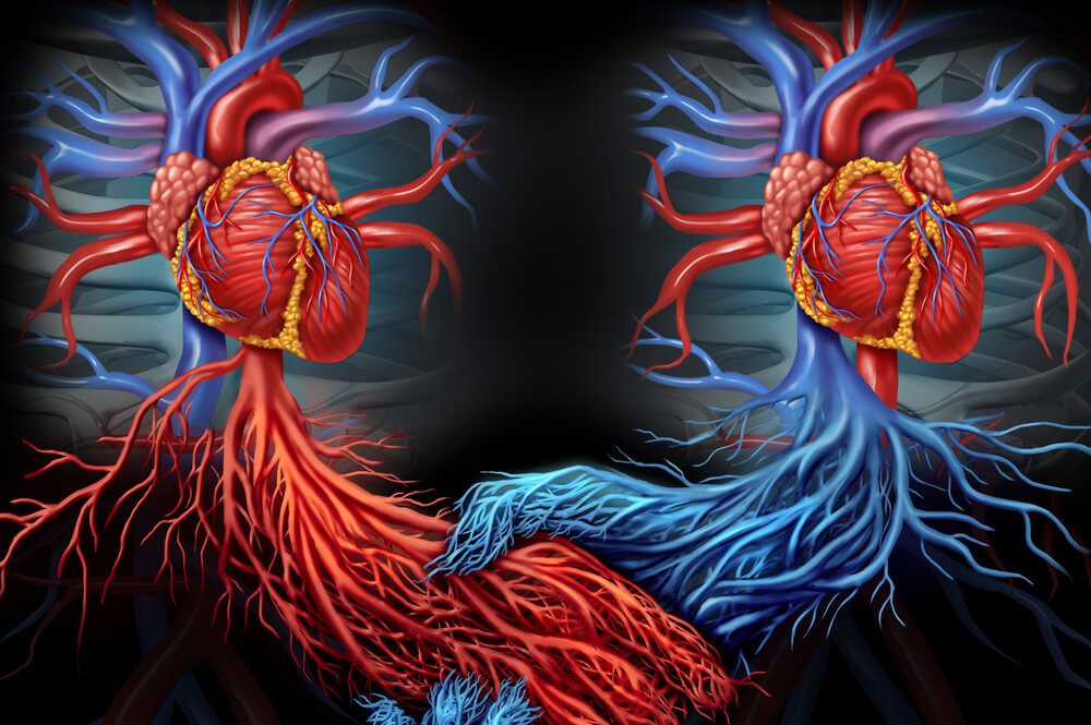Addressing Issues Of Life And Death Through Donor Agreements