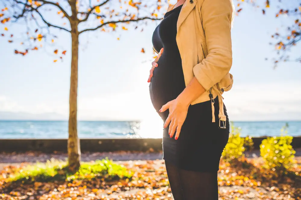 Pregnant woman outdoors representing surrogate pregnancy legal counsel and family law guidance in Los Angeles.