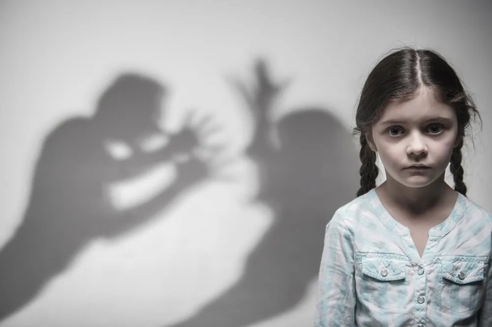 Victims Of Domestic Violence Are Not Required To Finance Their Own Abuse Victims Of Domestic Violence Are Not Required To Finance Their Own Abuse