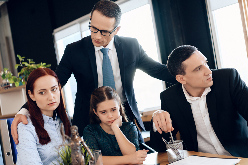What These Cases Mean to You! Child Custody Evaluators What These Cases Mean to You! Child Custody Evaluators