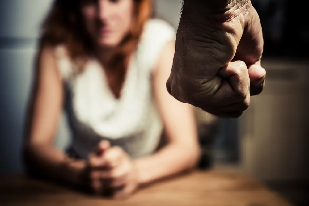 Recognizing Less Easily Identified Forms of Domestic Violence Recognizing Less Easily Identified Forms of Domestic Violence